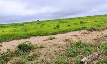 Imagem: Fazenda 29.000 hectares a venda no Maranhão
