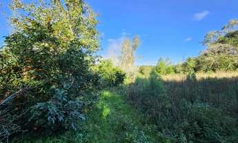 Imagem 2: Chácara + Casa na Boca do Monte