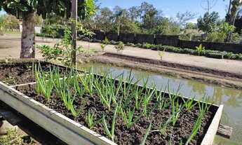 Imagem 5: CHÁCARA EM ITANHAÉM LITORAL SUL DE SÃO PAULO