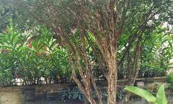 Imagem 2: VENDO OU ALUGO CASA NO CONDOMÍNIO FAZENDA PASSAREDO