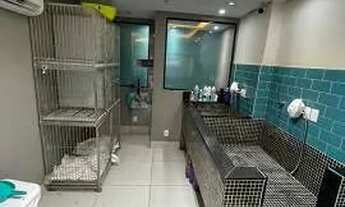 Imagem 7: Exelente loja PetShop 45M2 - Augusto Vasconcelos, centro de Cpo. grande