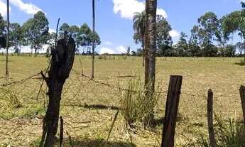 Imagem 2: TERRENO 62.000M2 AREA INDUSTRIAL IGARAPÉ