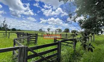 Imagem 2: Fazenda Colonial Goiás velho 34 alqueires ótima localização