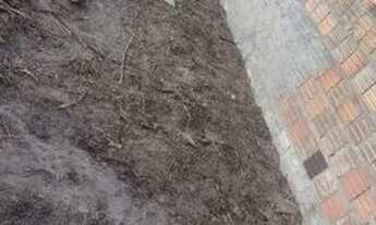 Imagem: Terreno 7 x20 lagoa salgada