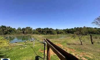 Imagem 7: Fazenda de Alto Padrão à Venda 80 Alqueires Próximo a Bom Jardim (GO