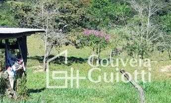 Imagem 5: Chácara em Abadiânia: 1 Alqueire , variedades de árvores frutíferas, 2 poços artesianos e