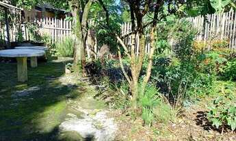 Imagem 6: Grande Terreno 16x40 no Piratini Oportunidade para Construtores