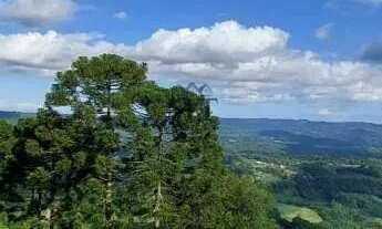 Imagem 4: Área de terra bairro Linha Imperial, Nova Petrópolis. RS Ref.:154