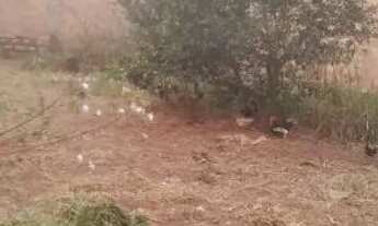 Imagem 3: Vendo lote residencial solar ville Goiânia