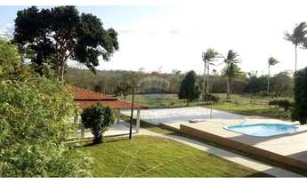 Imagem 5: Sitio /Chácara Flor de Laranjeira, 10 tarefas, a 10km de Feira de Santana