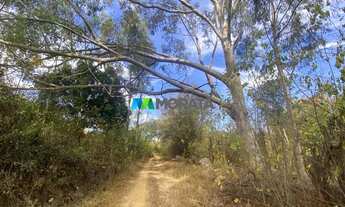 Imagem 7: FAZENDA À VENDA - 490 HECTARES - CORINTO (MG