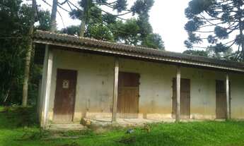 Imagem 3: Chácara Troca 3.100m2 em SJP na Roça Velha, Troca