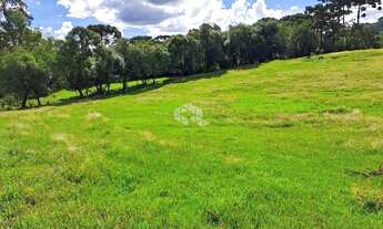 Imagem 2: Chácara na Linha Vicentina