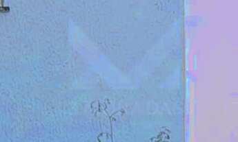 Imagem 4: Casa 2Q no Residencial Laranjeiras em Senador Canedo