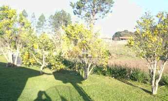 Imagem 4: Chácara com 4970m²