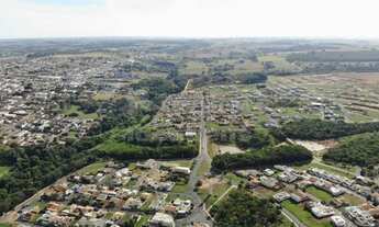 Imagem 3: Borboleta III em Bady Bassitt de esquina