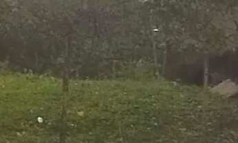 Imagem 3: Lote na Serra bicuda pequena