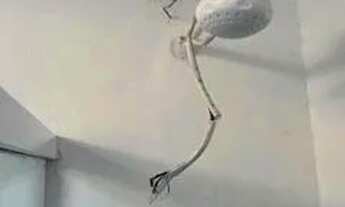 Imagem 6: Imóvel para aluguel tem 55 metros quadrados com 2 quartos em Quintino Bocaiúva - Rio de Ja