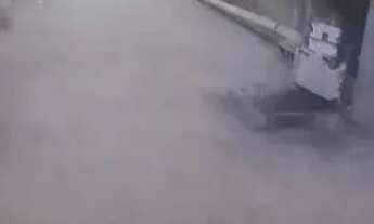 Imagem 6: GALPÃO 1.219 M² TOTAL 1.253 M² ZUP I ADMINISTRATIVO CUMBICA GUARULHOS SP