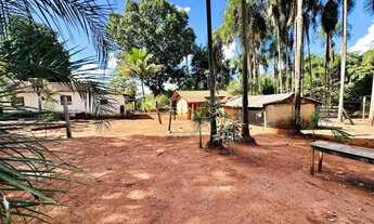 Imagem 7: Chácara Produtiva à Venda em Rio Verde