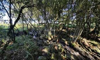 Imagem 2: Imóvel no Nova Vila, Ivoti