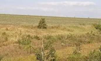 Imagem 4: Lote em caminho m - PRIMAVERA - São Pedro/SP