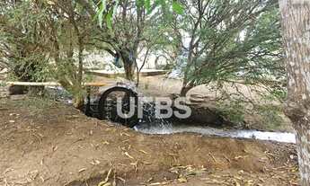 Imagem 5: Fazenda em Campo Limpo de Goiás - Anápolis