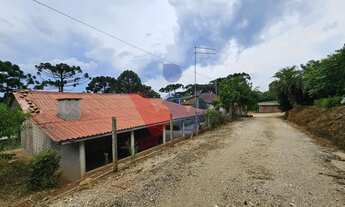 Imagem 7: Propriedade rural com 254.100m , casas, tanques de peixe, pomar e pasto