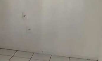 Imagem 4: Casa com 3 dormitórios para alugar, 75 m² por R$ 2.850,00/mês - São Sebastião - Palhoça/SC