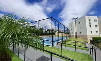 Imagem 4: Apto venda Vila dos Ipes