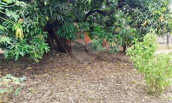 Imagem 7: Terreno comercial à venda em Jardim Padre Bento, Itu - SP