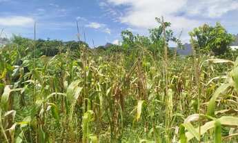 Imagem 5: Venda-se este terreno de 1312,46 M2 no Município de Atílio Vivacqua-ES