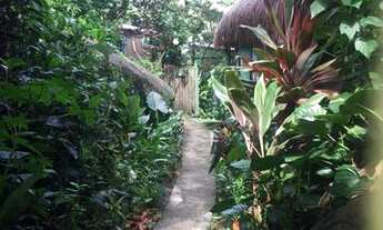 Imagem 6: Terreno Ilha Grande