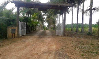 Imagem 5: Chácara em Piçarras 15.000 m² C/ Piscina