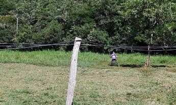 Imagem 6: 20k terreno de 500m2 100% plaino