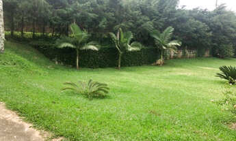 Imagem 4: 20k terreno de 500m2 100% plaino