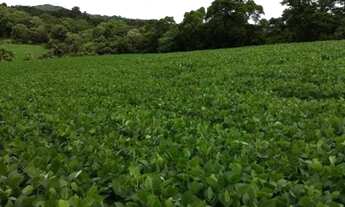 Imagem 4: Chácara 22.000m2 Campo Largo Curitiba