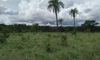 Imagem 2: FAZENDA EM CONCEIÇÃO DO TOCANTINS - TO - 968 HECTARES (DUPLA APTIDÃO