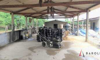 Imagem 4: Fazenda com 4 dormitórios à venda, 726000 m² por R$ 4.500.000,00 - Buriti Grande - Luziâni