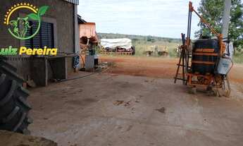 Imagem 5: FAZENDA Â VENDA EM FIGUEIRÃO - MS - 416 ALQUEIRES (Pecuária