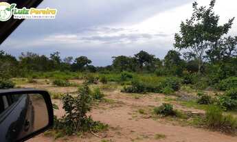 Imagem 5: FAZENDA À VENDA EDM TUPIRATINS - TO -2.662 HECTARES (DUPLA APTIDÃO