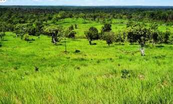 Imagem 6: FAZENDA À VENDA EM PARANÃ - TO - 871,2 HECTARES