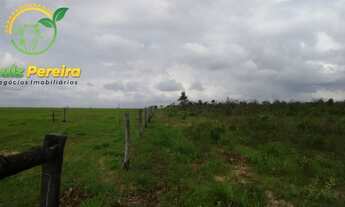 Imagem 7: FAZENDA À VENDA EM PALMEIRANTE - TO - 855 HECTARES (DUPLA APTIDÃO
