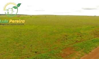 Imagem 9: FAZENDA À VENDA EM CONCEIÇÃO DO ARAGUAIA-PA-4.855 HECTARES (DUPLA APTIDÃO