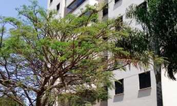 Imagem: Parque Prado Village Monet