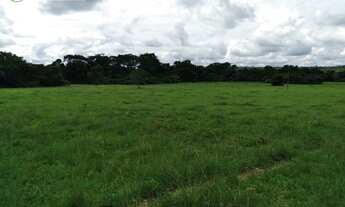 Imagem 5: FAZENDA EM CONCEIÇÃO DO TOCANTINS - TO - 968 HECTARES (DUPLA APTIDÃO