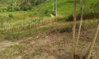 Imagem 4: Vendo sitio em flexeiras