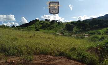 Imagem 2: Lote à venda, Bairro dos Nogueiras - Socorro/SP