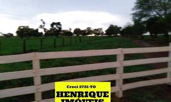 Imagem 3: Fazenda no Vale do Araguaia no Tocantins