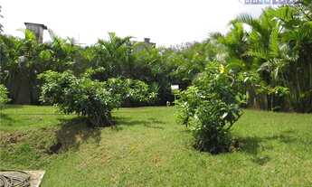 Imagem 6: Apartamento com 3 dormitórios à venda, 60 m² por R$ 367.000,00 - Parque São Lucas - São Pa